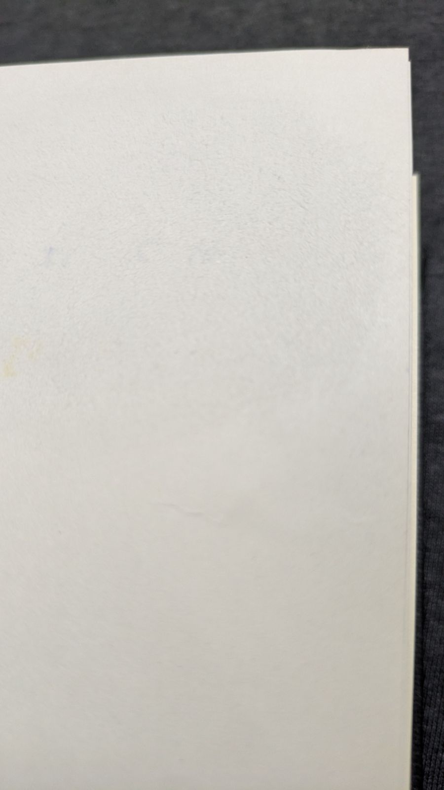 yyさん専用】DVS ディックヴァンストラレン サーフボード（ミッド