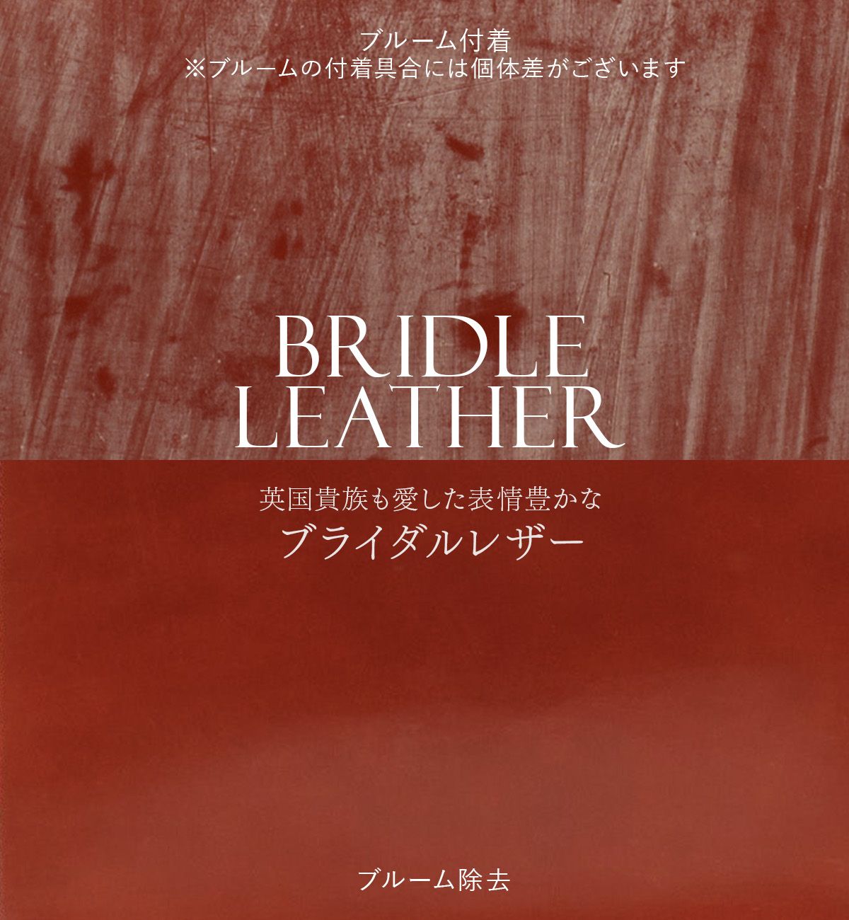 ショルダーバッグ
