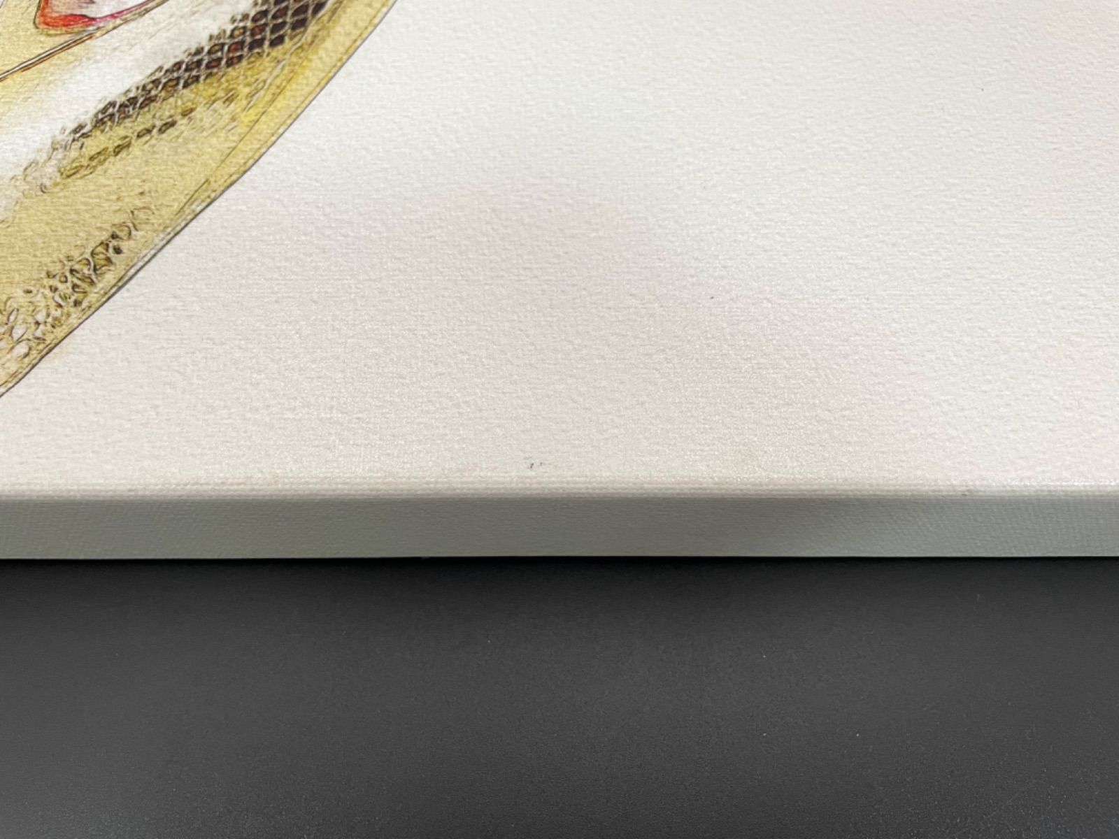 Oliver Gal オリバーガル ゴールドシューズ ルブタン ◇ オリバーガル ◇ GOLD SHOE AND FASHION BOOKS キャンバス