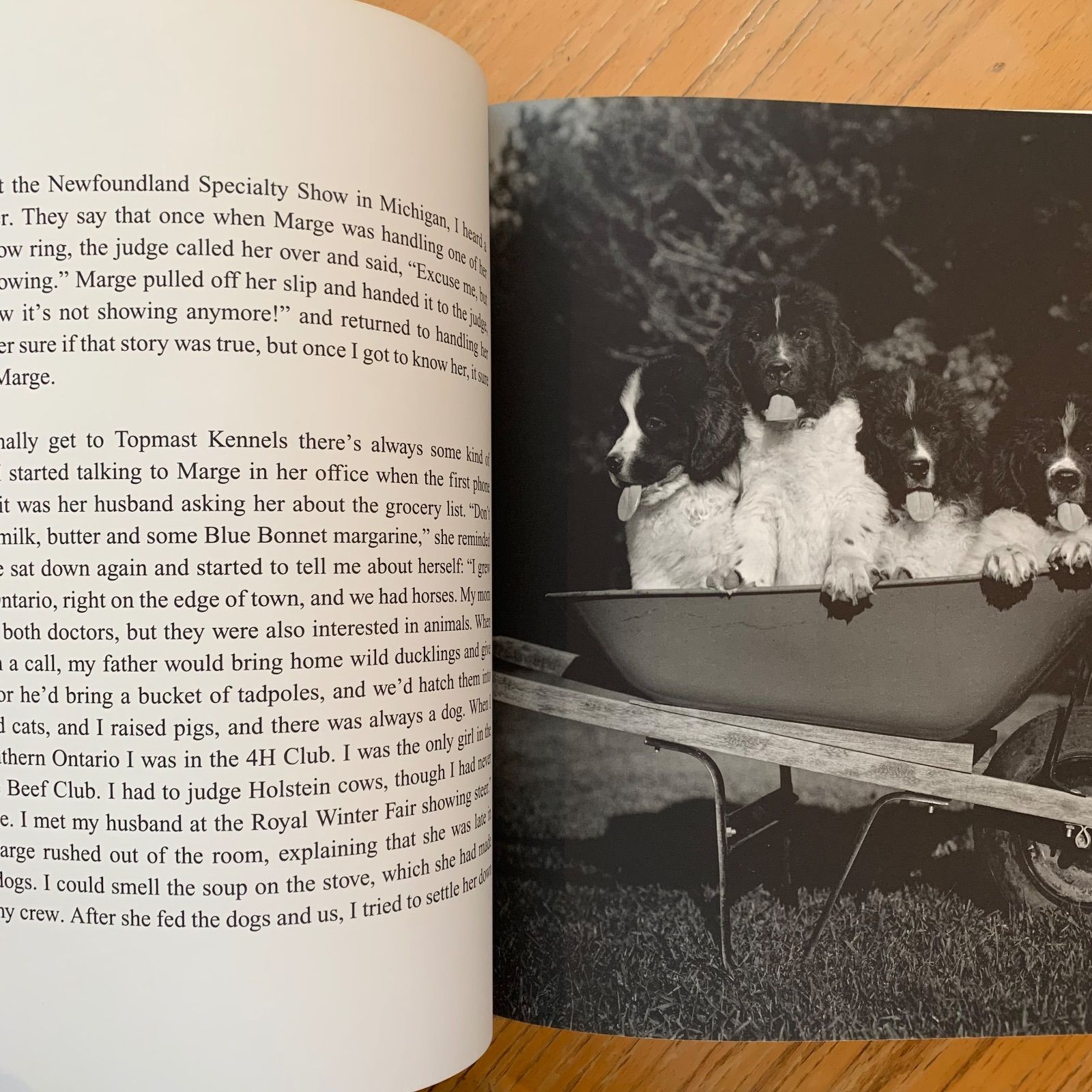GENTLE GIANTS Bruce Weber ブルースウェバー　写真集 ブルース・ウェーバー BRUCE WEBER ｜ GENTLE GIANTS: A BOOK OF