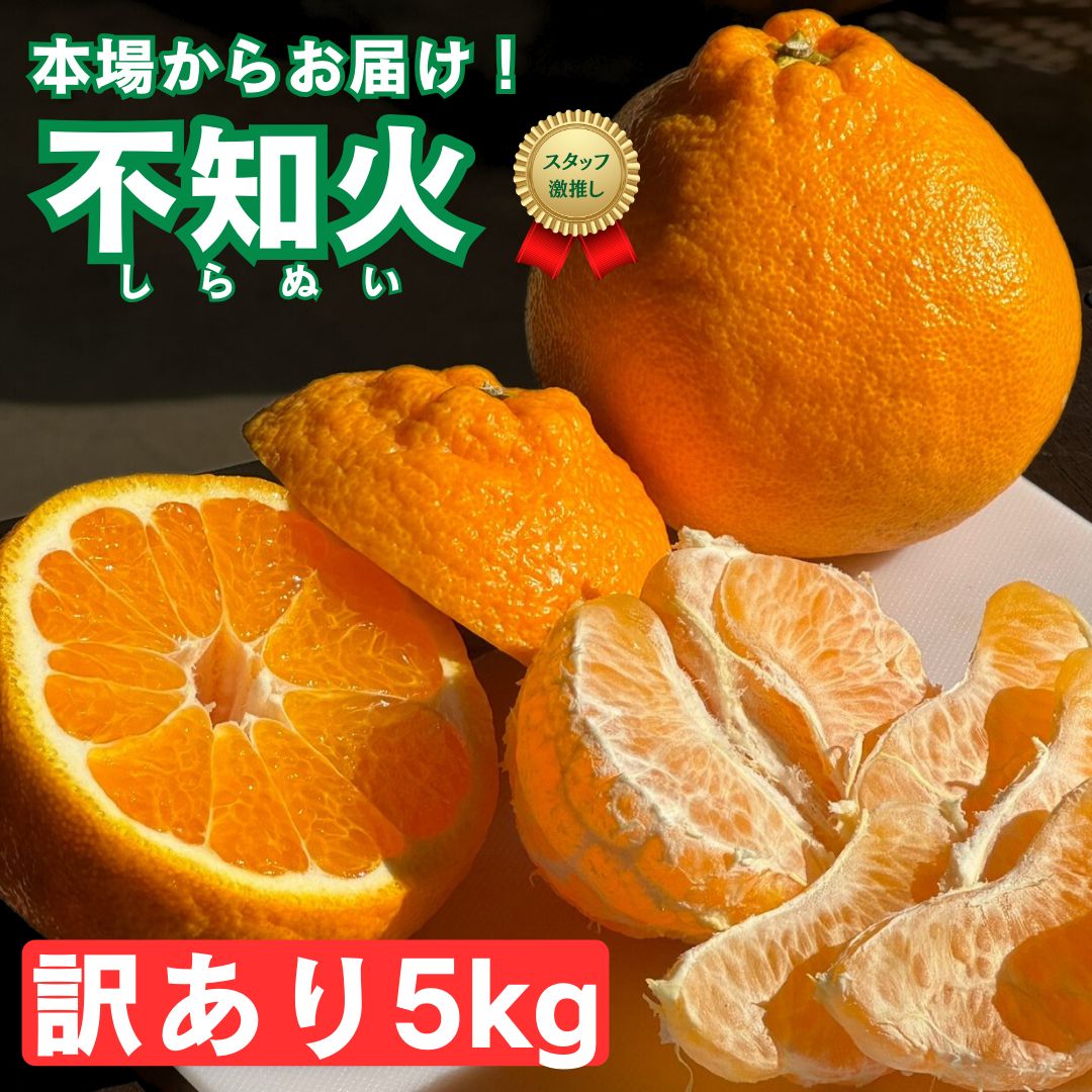 熊本県産 デコポン 不知火 訳あり傷あり ５kg - 果物