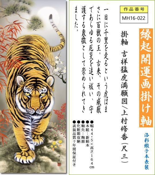掛け軸 掛軸 吉祥猛虎満願図/上村修香(尺三)令和 寅年干支 MH16