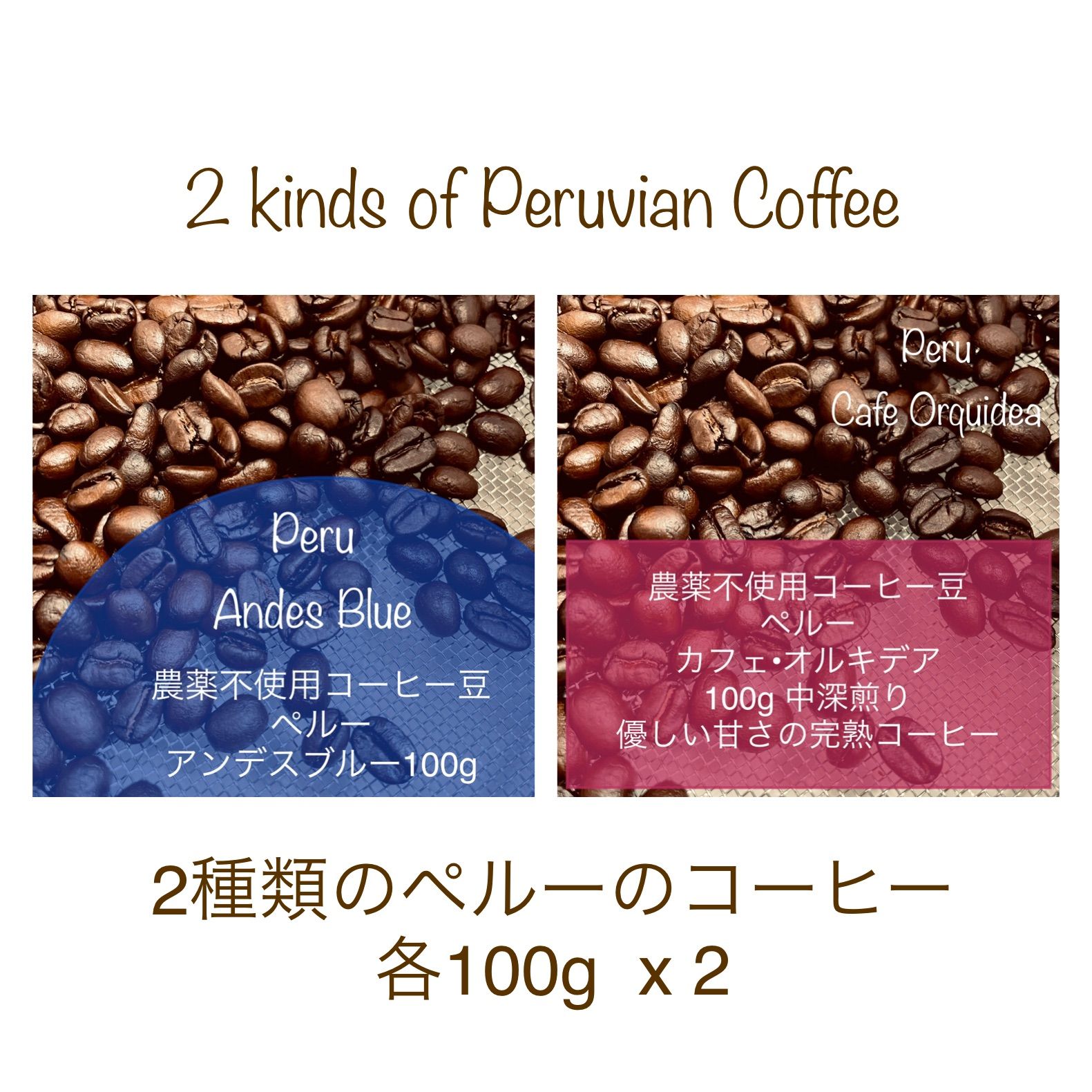 ペルー アンデスブルー 自家焙煎コーヒー豆 400g - コーヒー