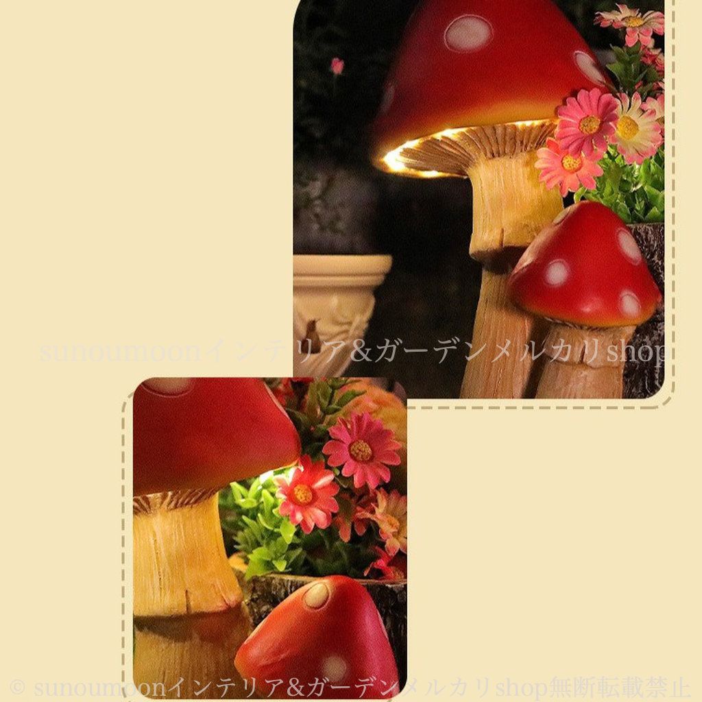 おしゃれ きのこ