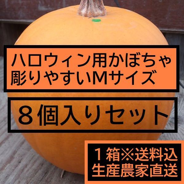 ハロウィン ジャックオーランタン用生本物かぼちゃ ８個１箱 Ｍサイズ2kg台 カボチャ専門農家農場直送
