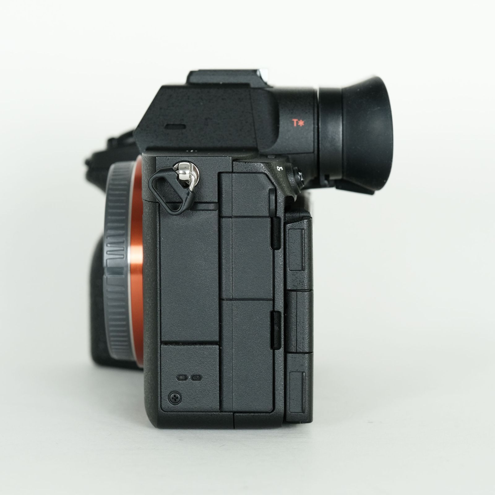 K*y様 SONY α7R V ILCE-7RM5 シャッター321回 640G ソニー α7R V ILCE-7RM5 の連写性能とローリングシャッター性能