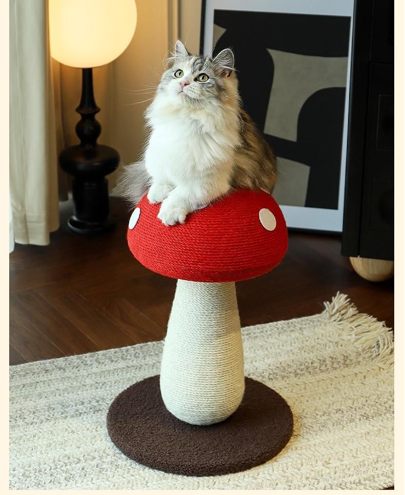 猫爪とぎ