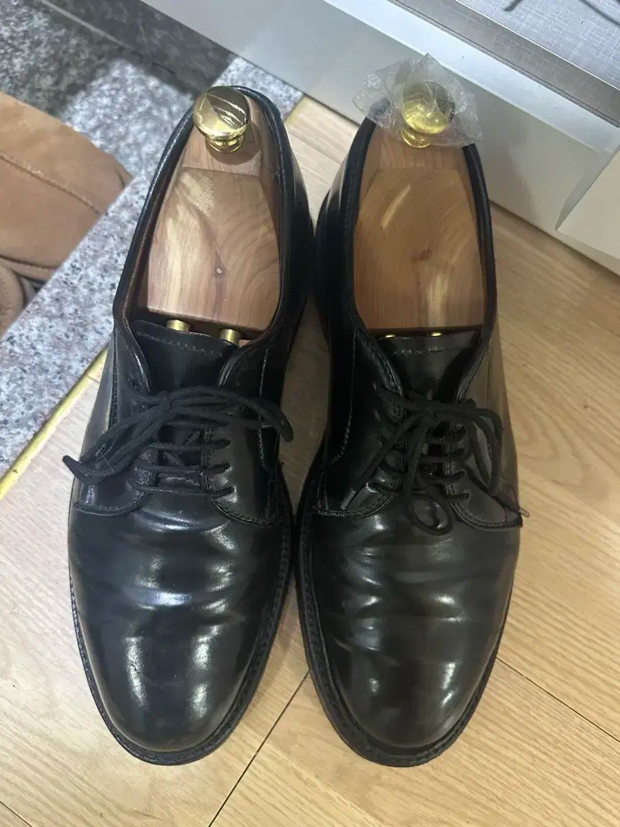 ALDEN(オールデン) 9901 7 5e Alden Model: 9901 Style: Clipper Ox