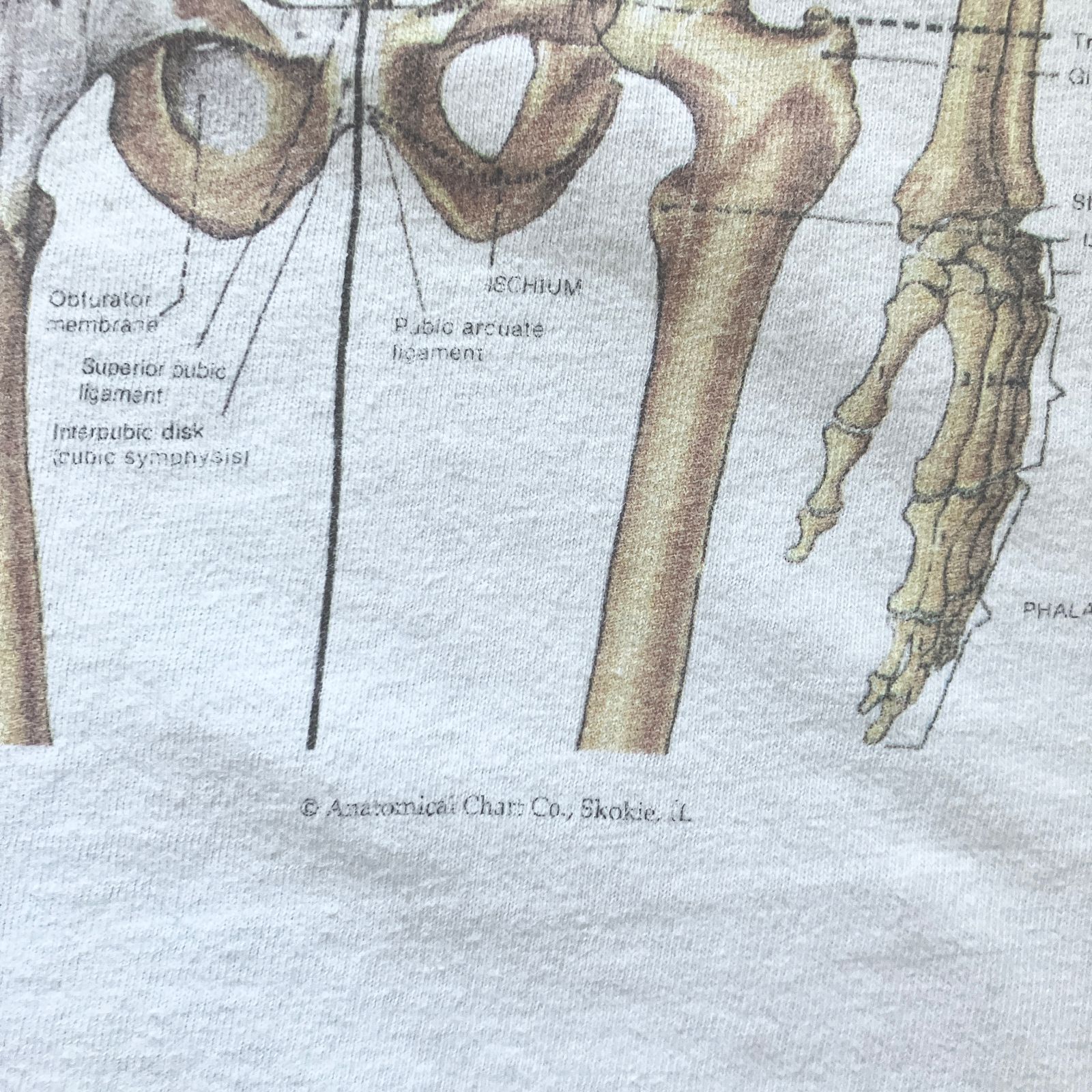 90s anatomical chart 人体標本 nirvana 90s anatomical chart 人体標本 nirvana