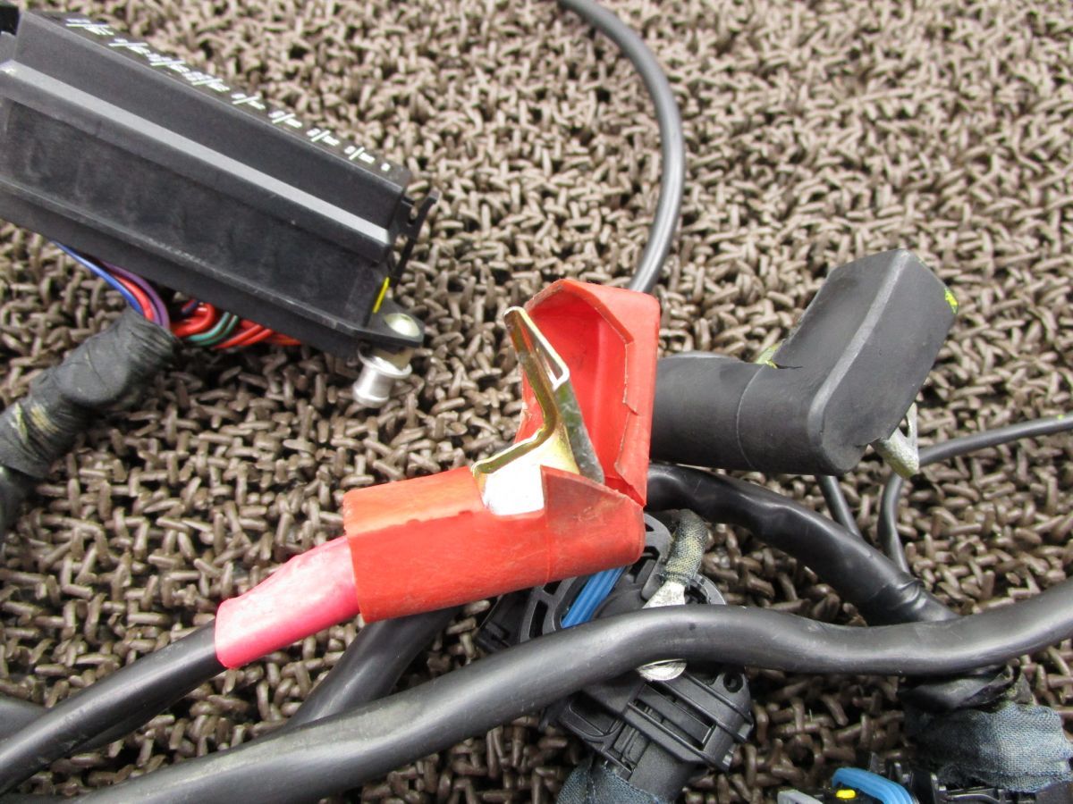 ドゥカティ　モンスターＳ４　送料込み　ワイヤハーネス　中古品 2025年最新Yahoo!オークション -ドゥカティ モンスター s4(ハーネス