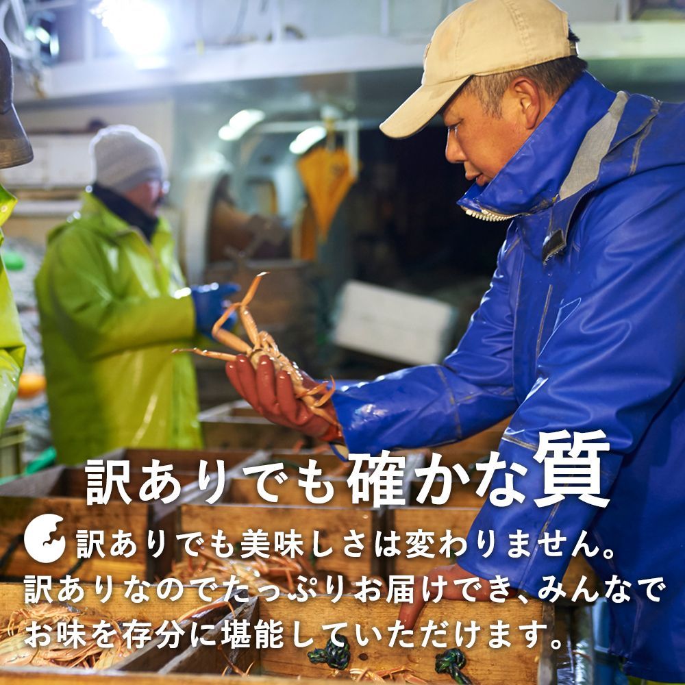 2枚〜4枚 25年3月18日まで