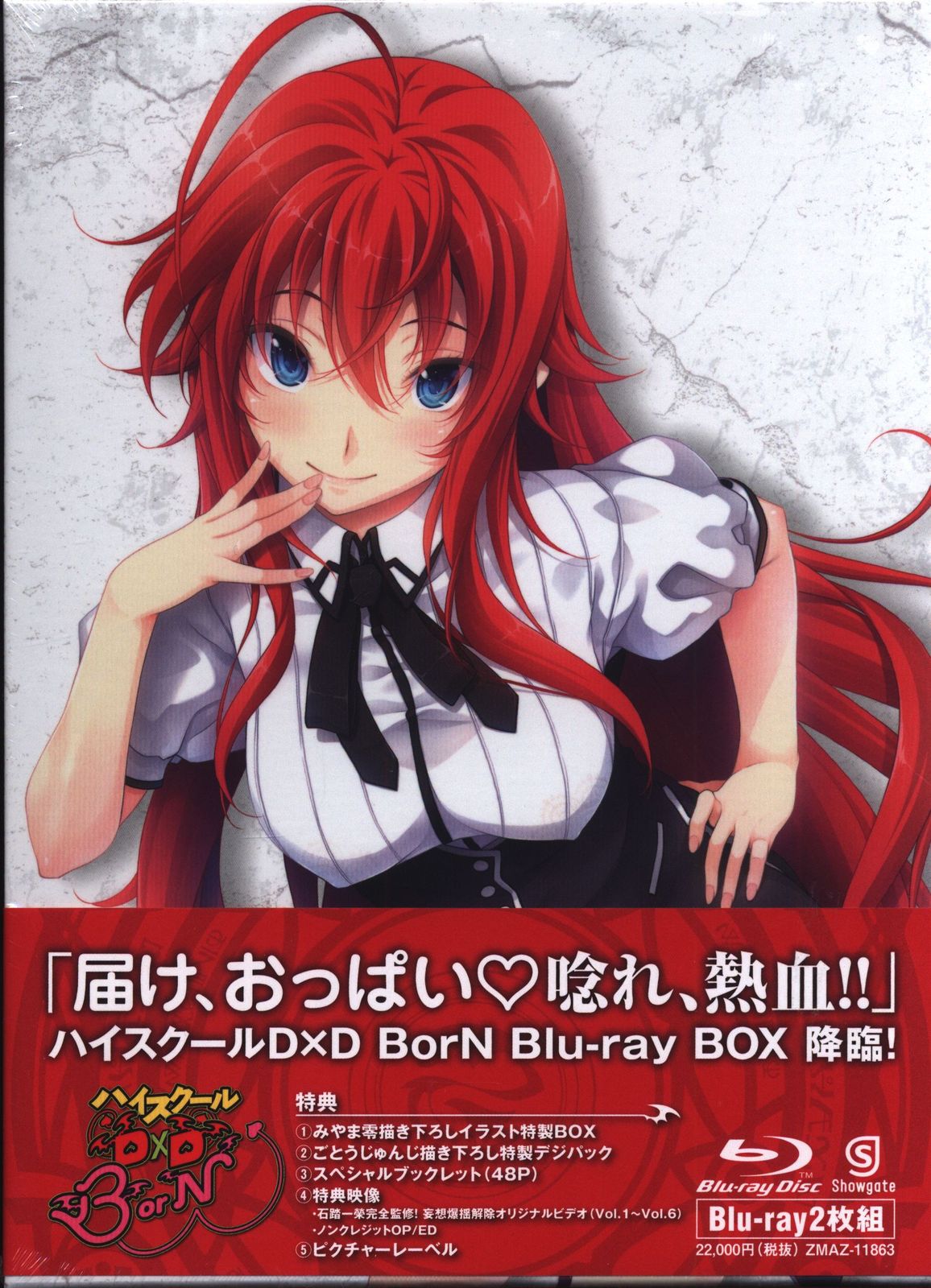 アニメBlu-ray ハイスクールD×D BorN Blu-ray BOX ※未開封難あり