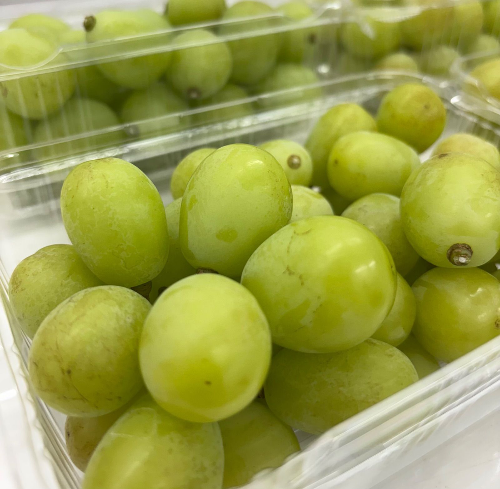 シャインマスカット箱別2kg〇クール便送料込み 7月23日または24日発送〇クール便送料込み〇とっても美味しい訳