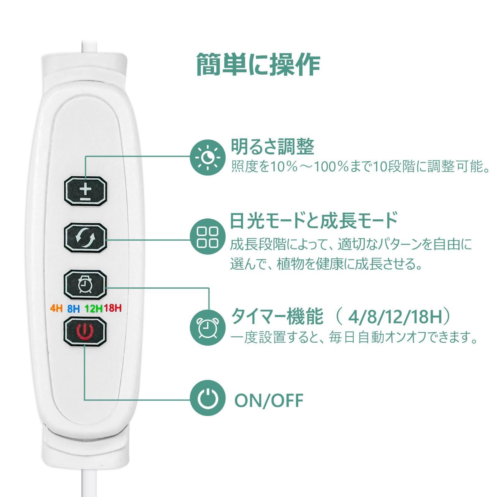 観賞用 2ヘッド付き
