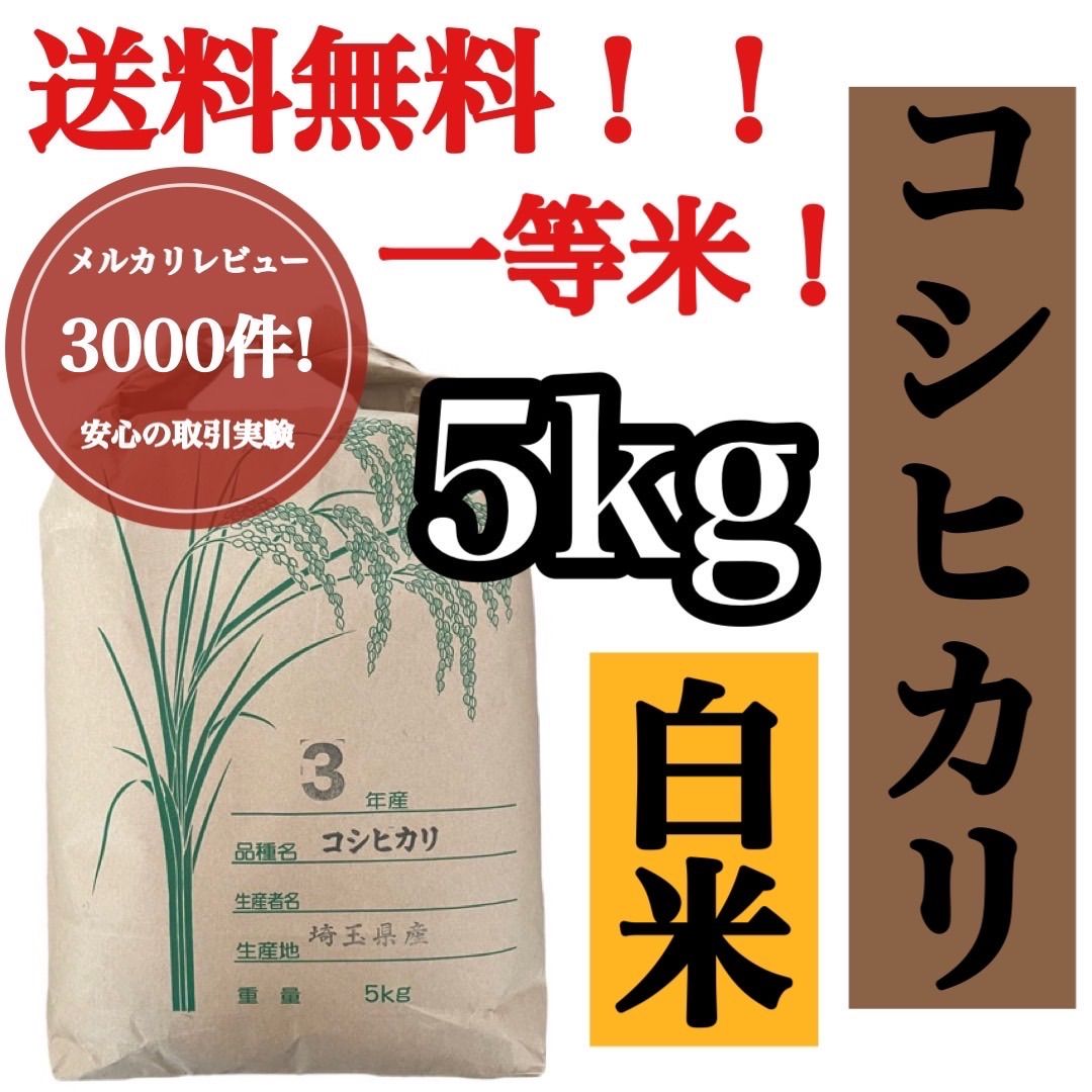 白米 10kg コシヒカリ 新米 埼玉県産 令和5年産 送料無料 米 10キロ - 米