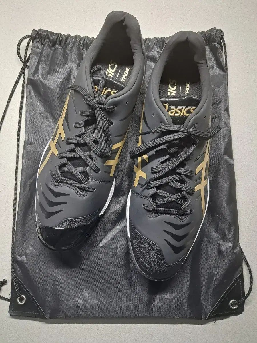 アシックス GOLD STAGE モデル POINT ポイントシューズ 285mm 新 商品