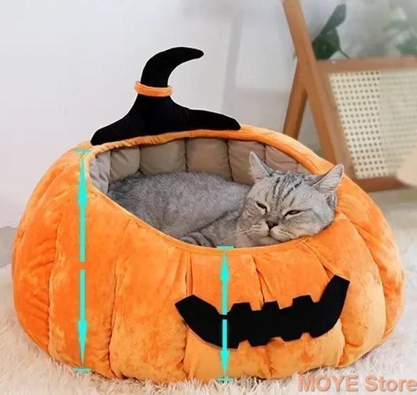 ペット用品 犬