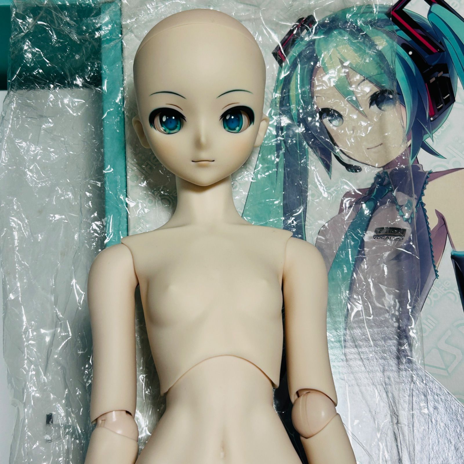 ドルフィードリーム