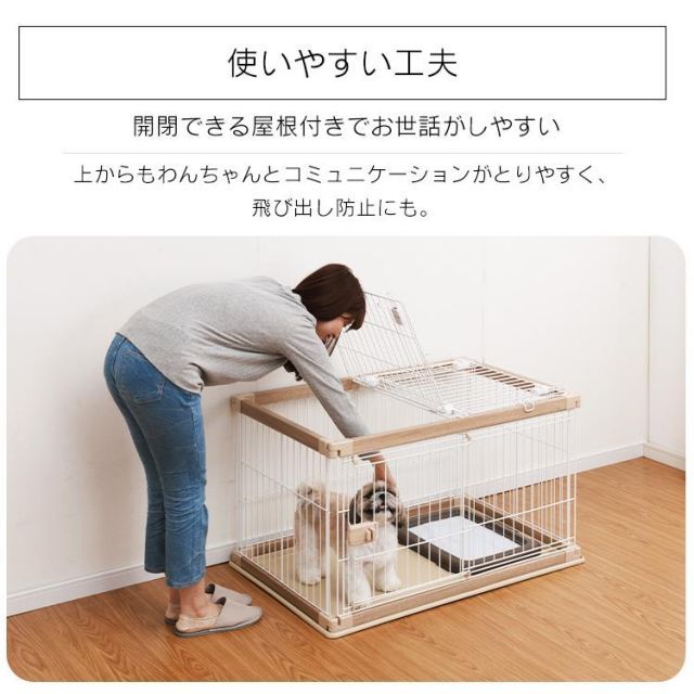 公式 犬