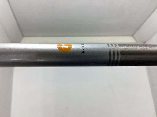 Ray SX-PRO