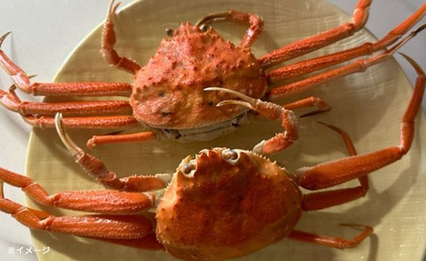 北海道産「蟹 訳あり（ズワイガニ）」3kg（12〜15尾）【賞味期限内かつ、ご入金日から3~11日の平日を目処に発送いたします。】