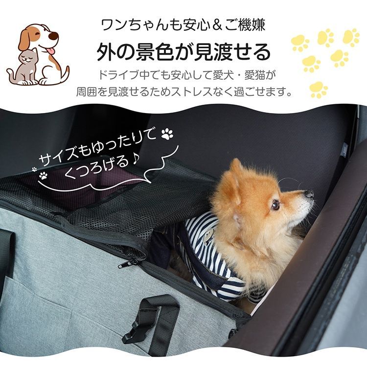 コンパクト