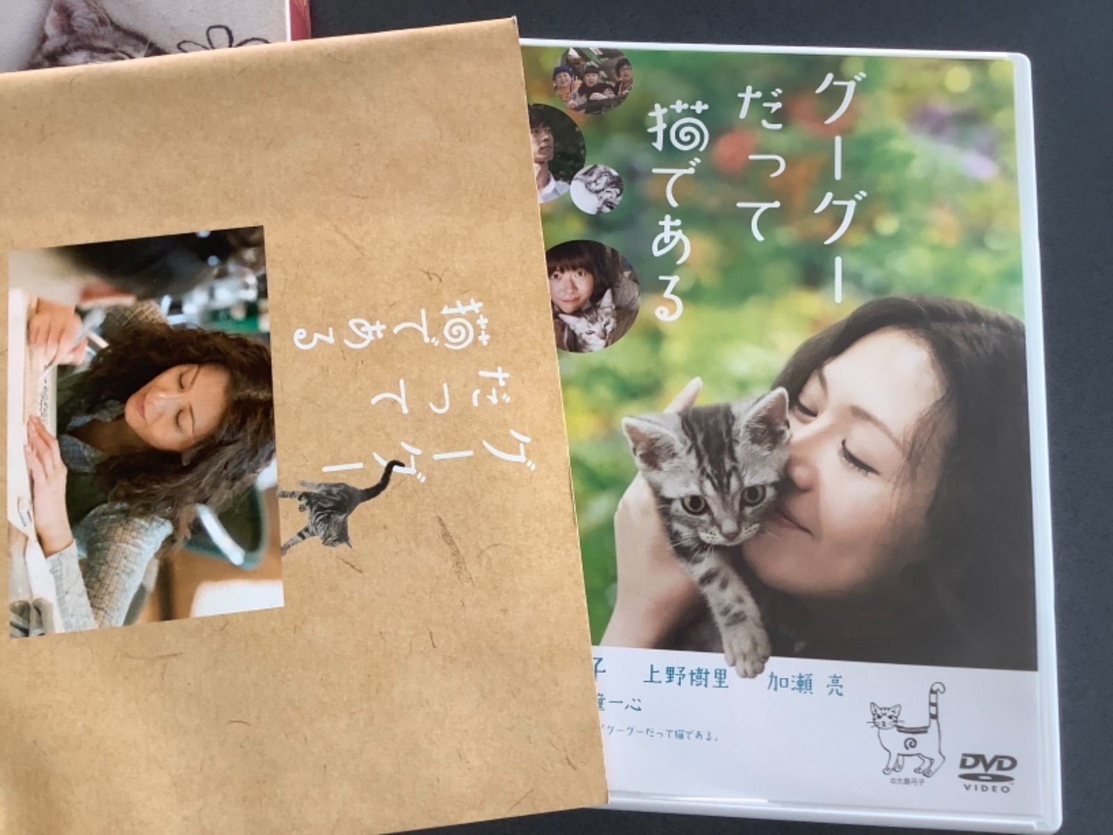 グーグーだって猫である DVD 小泉今日子 上野樹里 加瀬亮 森三中 林