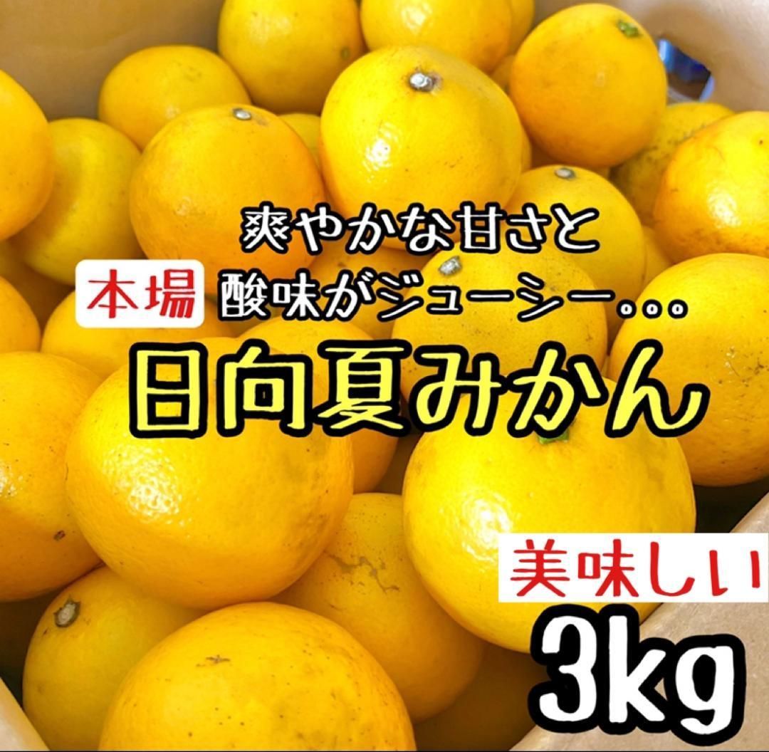 【九州産】甘～い◎訳あり ハウスみかん 5kg d