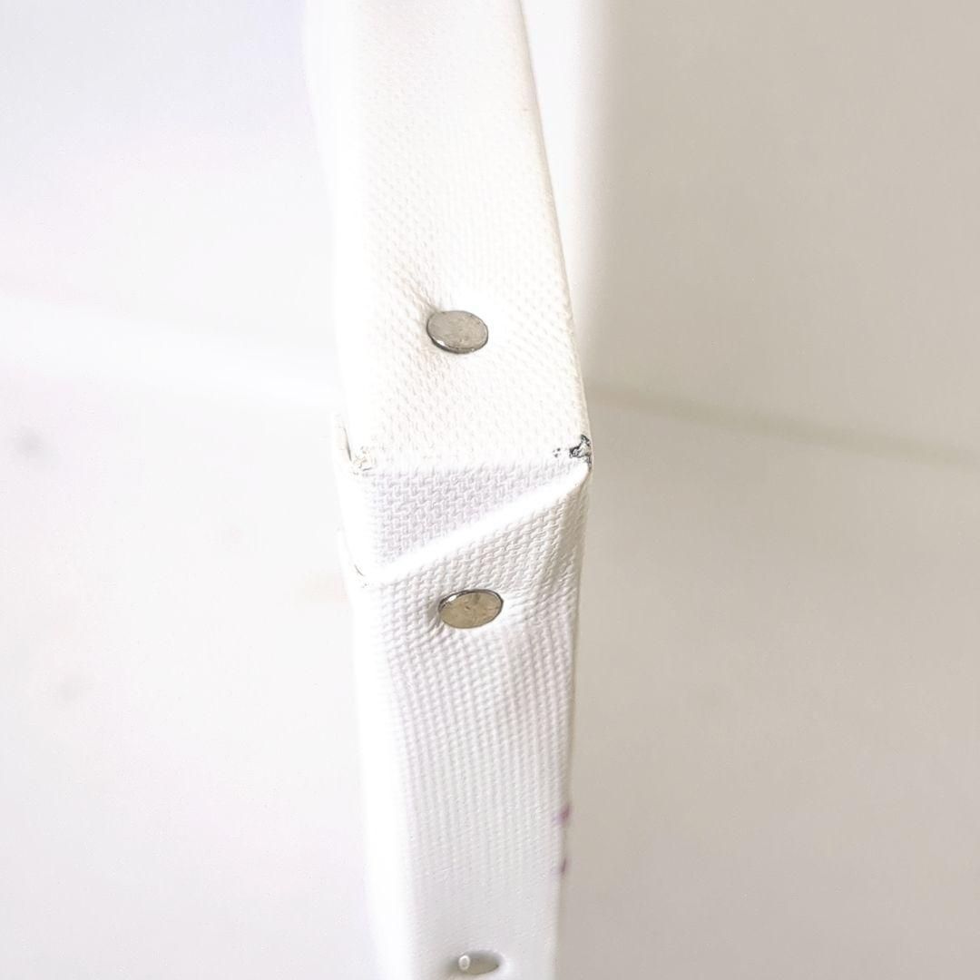 攻殻機動隊 SAC_2045 草薙素子 士郎正宗 キャンバスアート F6サイズ