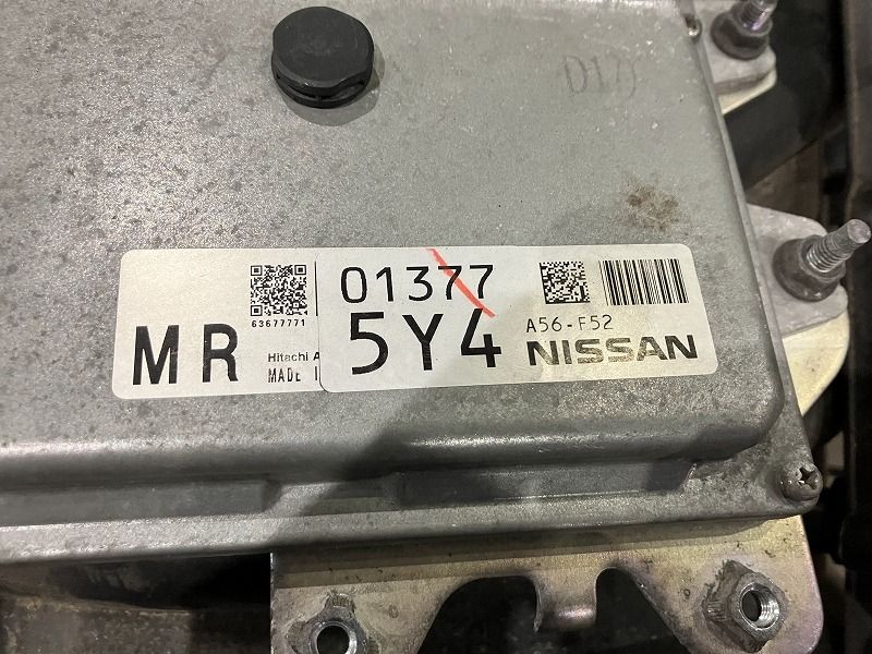 NT31