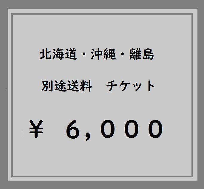 北海道・沖縄・離島 別途送料チケット 6,000円