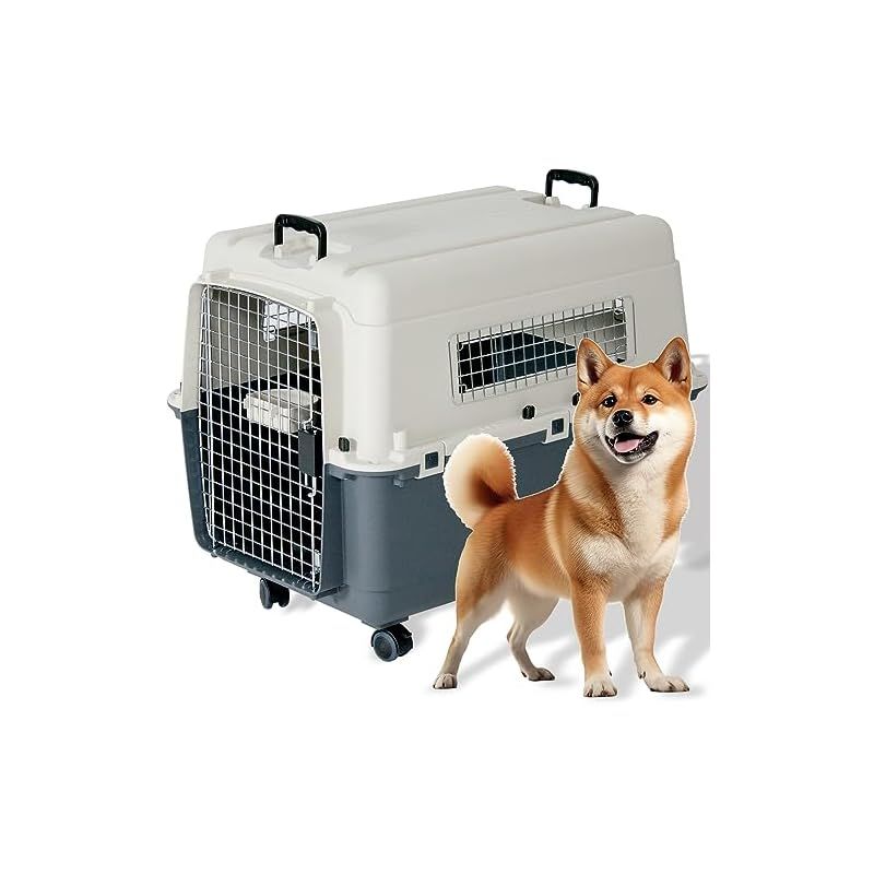 プチリュバン IATA 基準クリア キャリーバッグ80 XL 外寸 幅56.5×高58.5×奥行80cm 中 大型犬用 0