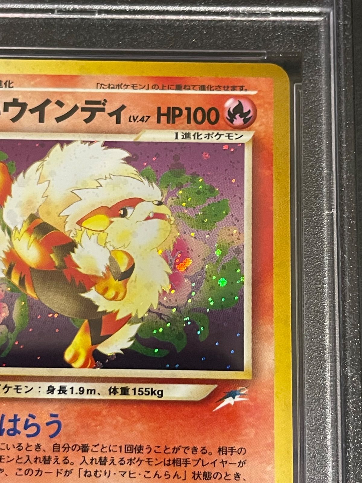 Yahoo!オークション - ポケモンカード 旧裏面 旧裏 ウィンディ
