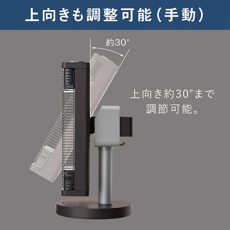 シーズヒーター