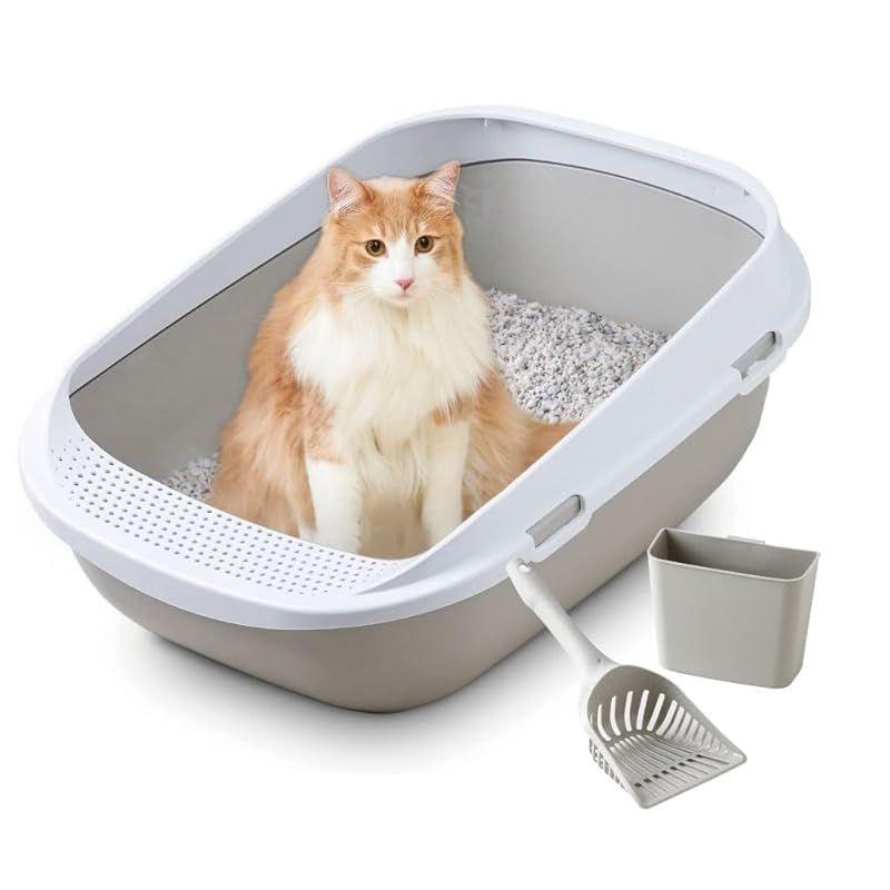 OFT】 メガトレー グレー + Handy Max with Caddy