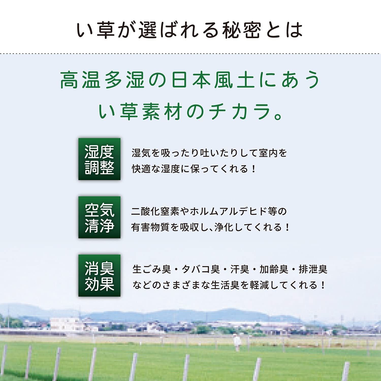 在庫セール】抗カビ 双目織 お手頃上敷き 軽量 柳川 江戸間8畳 傷防止