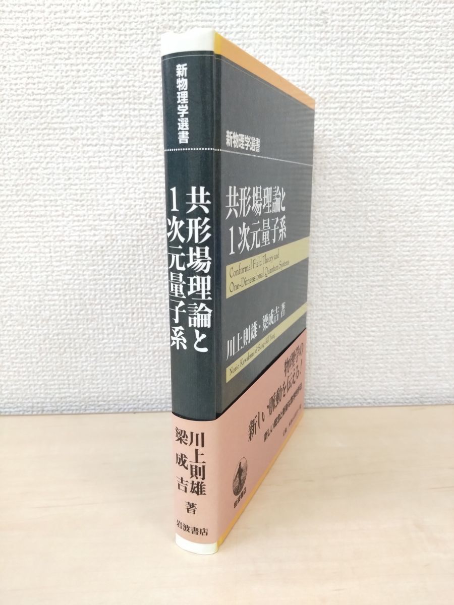 共形場理論と1次元量子系　新物理学選書　川上則雄　岩波書店