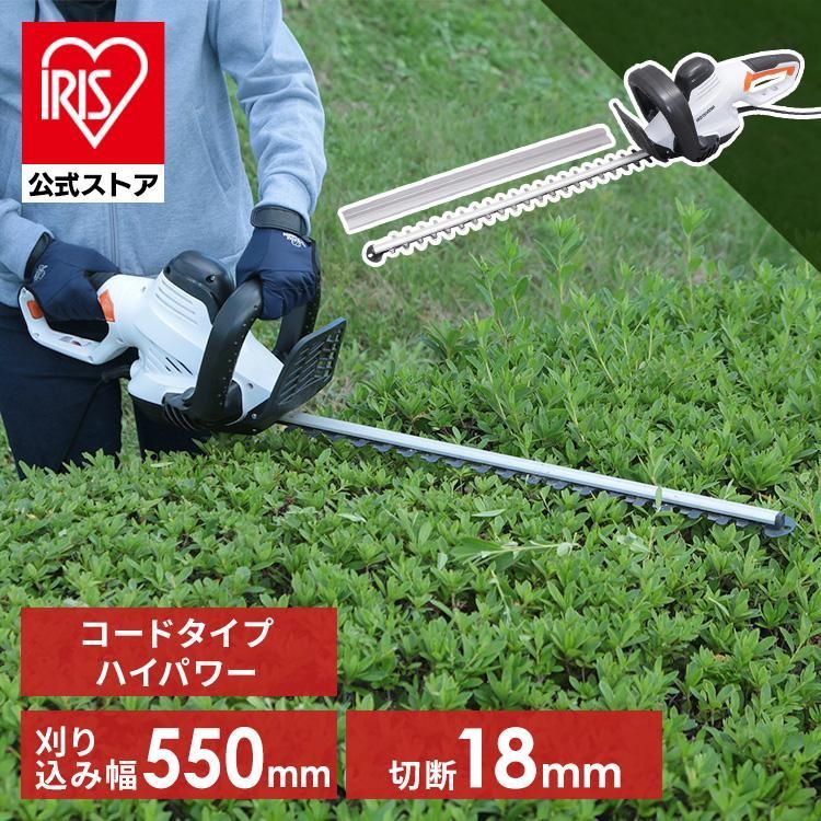 ヒマラヤシーダー ファーストスノー 接ぎ木苗 楽天市場】【 接木個体