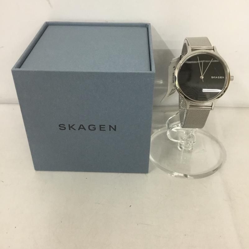 SKAGEN スカーゲン 腕時計 アナログ（クォーツ式） SKW2673 ステンレス