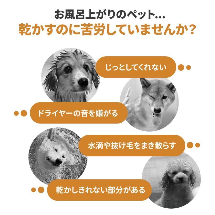 ハウス