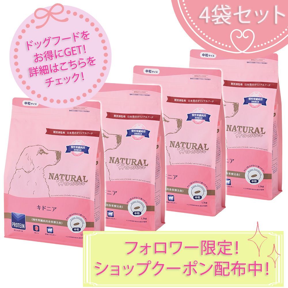 キドニア 腎臓ケア用食事療法食 1.1kg×4袋セット ナチュラルハーベスト