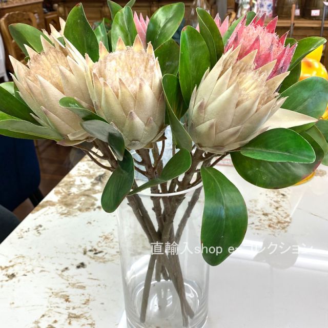 ブーケ　キングプロテア 種類6：JS-741-キングプロテア-ピンク ☆秋のお買得セール中!☆ キング