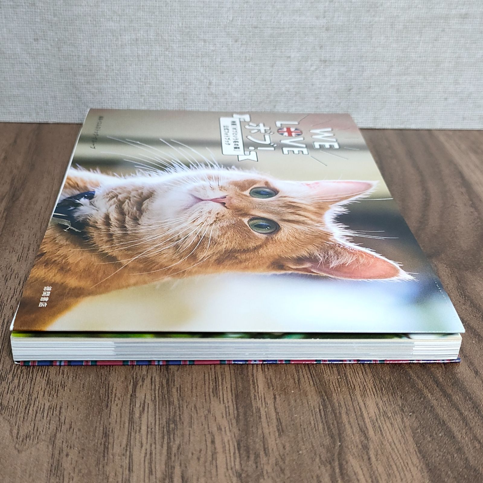映画 ボブという名の猫 公式写真集 WE LOVE ボブ！ 絶版 入手