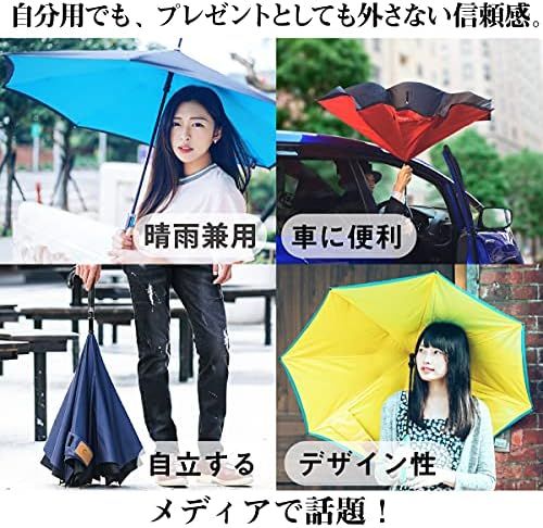 Model シティモデル