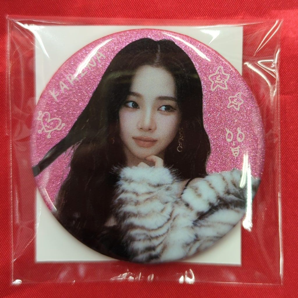 aespa 2025 aespa LIVE TOUR SYNK:aeXIS LINE in JAPAN KARINA