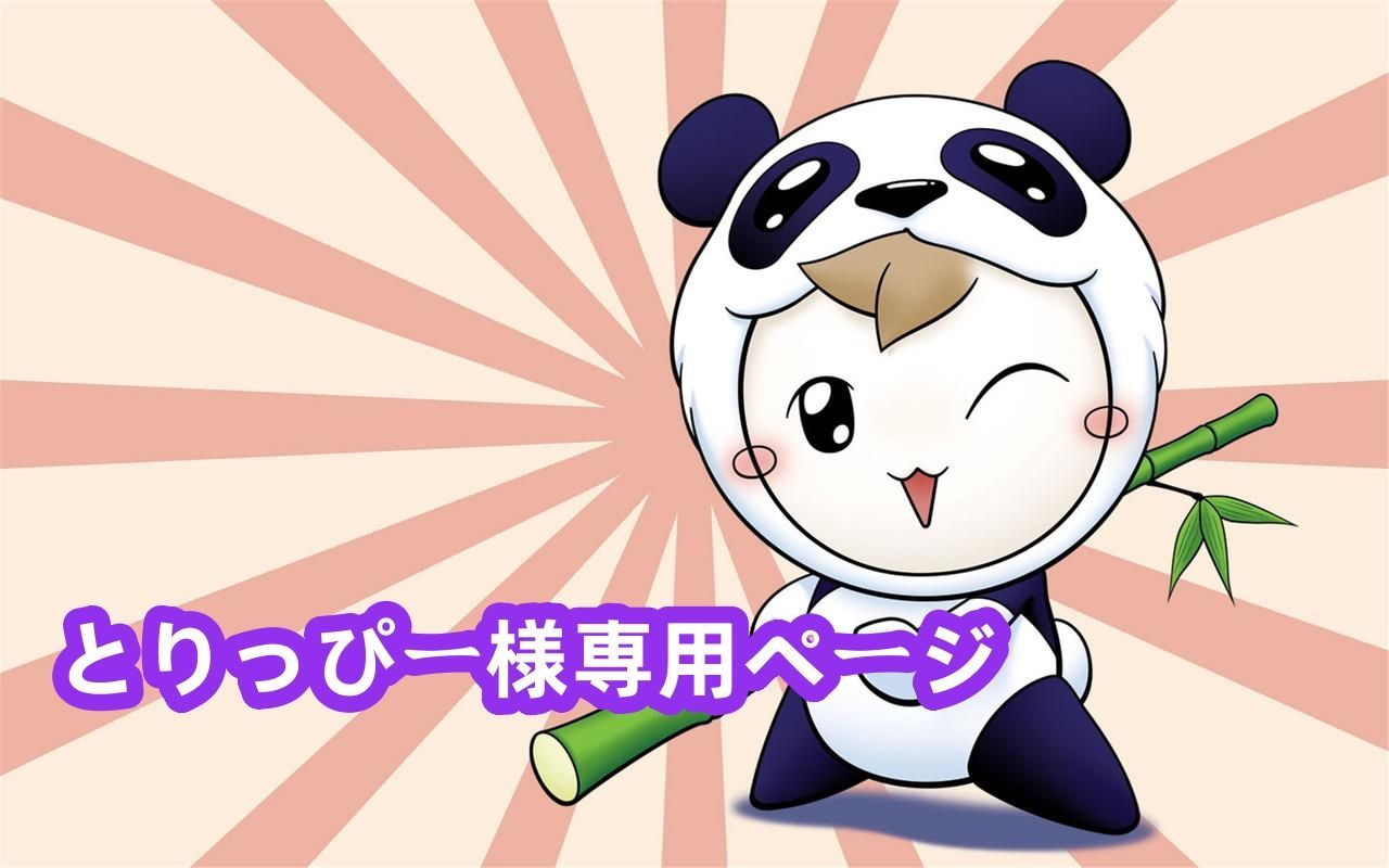 とりっぴー様専用ページ - メルカリ 