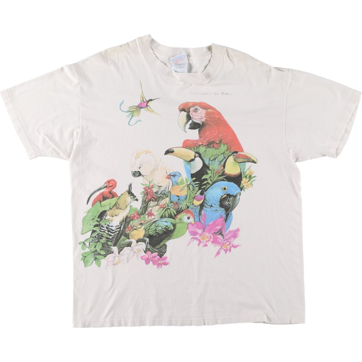 古着 90年代 ヘインズ Hanes BEEFY-T オウム柄 アニマルTシャツ USA製 メンズXL ヴィンテージ /eaa447145 【中古】/eaa447145