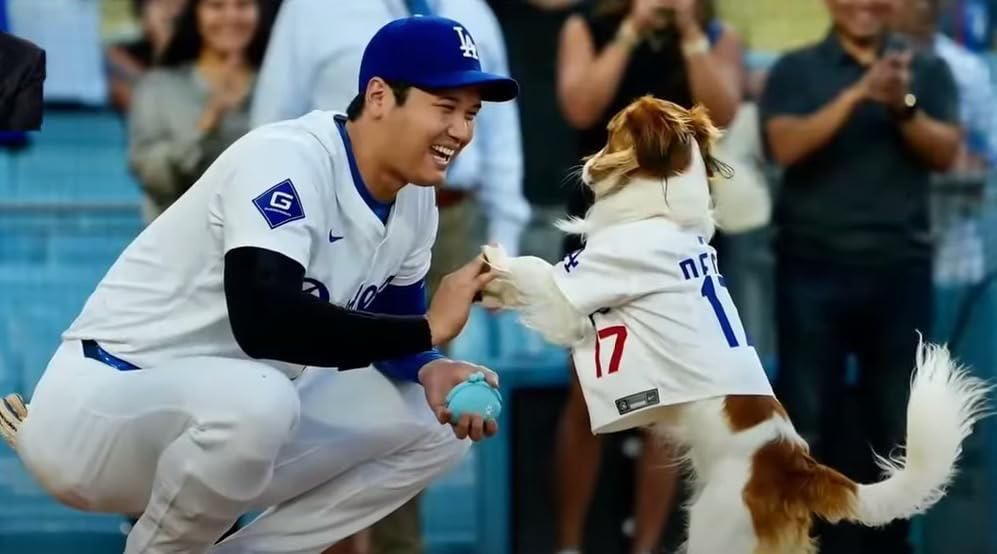 ドジャースタジアム 限定 大谷翔平 ボベルヘッド デコピン 球場配布 首振り人形 フィギュア