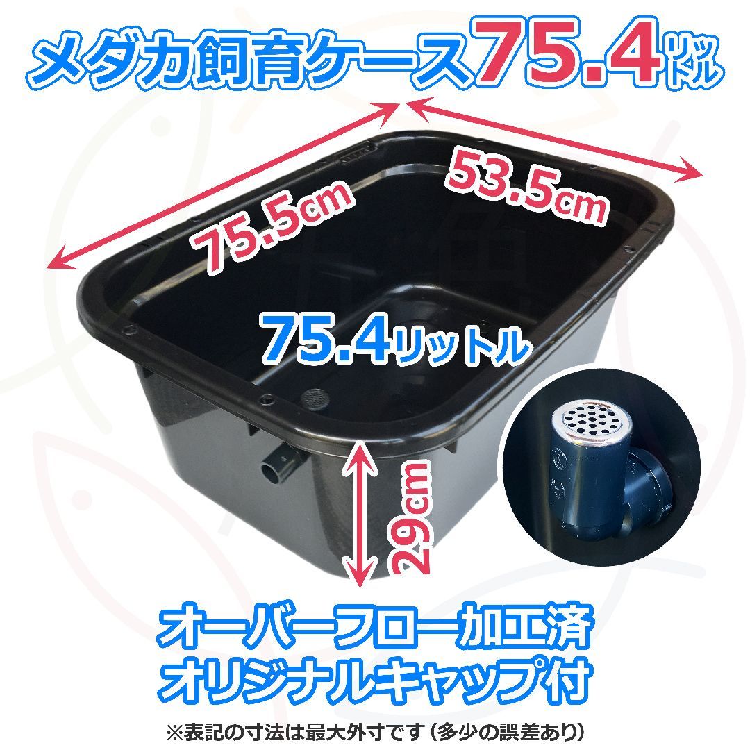メダカ 飼育ケース 60㍑x3個 オーバーフローキャップ付 金魚飼育容器 水草 Amazon | 五色アクア メダカ飼育ケース 60リットル 黒