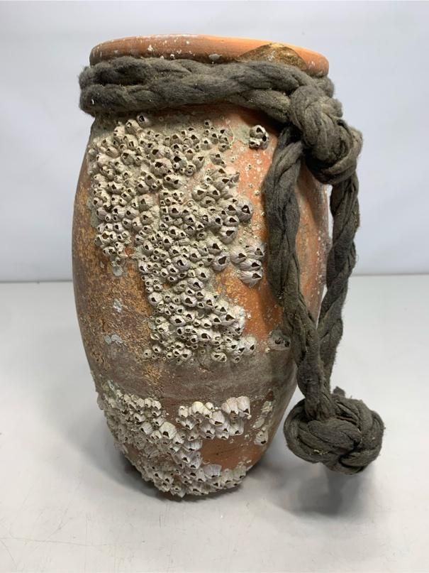 貴重品 年代物 蛸壺 フジツボ付 タコ壺 タコツボ 珍品 風格